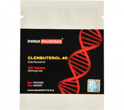 CLENBUTEROL 40 mcg